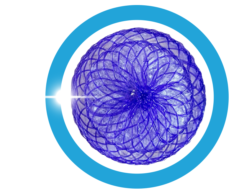 Memosorb MemoSorb - 2 | Novusmed